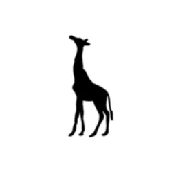 ナカザワ